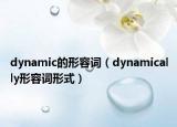 dynamic的形容词（dynamically形容词形式）