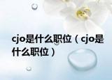 cjo是什么职位（cjo是什么职位）