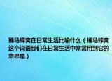 捅马蜂窝在日常生活比喻什么（捅马蜂窝这个词语我们在日常生活中常常用到它的意思是）