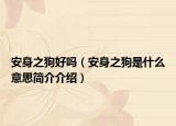 安身之狗好吗（安身之狗是什么意思简介介绍）