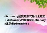 dictionary的复数形式是什么意思（dictionary的复数是dictionarys还是dictionaries）