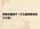 保丽龙是啥子（什么是保丽龙简介介绍）