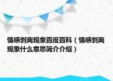 情感剥离现象百度百科（情感剥离现象什么意思简介介绍）