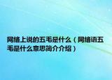 网络上说的五毛是什么（网络语五毛是什么意思简介介绍）