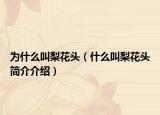 为什么叫梨花头（什么叫梨花头简介介绍）