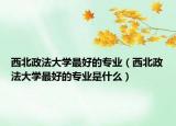 西北政法大学最好的专业（西北政法大学最好的专业是什么）