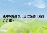 正甲烷是什么（正乙烷是什么简介介绍）