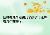 汪峰有几个老婆几个孩子（汪峰有几个孩子）