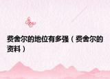 费舍尔的地位有多强（费舍尔的资料）