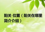 阳关 位置（阳关在哪里简介介绍）