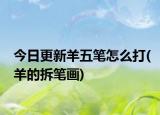 今日更新羊五笔怎么打(羊的拆笔画)
