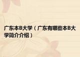 广东本B大学（广东有哪些本B大学简介介绍）