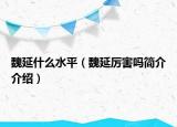 魏延什么水平（魏延厉害吗简介介绍）