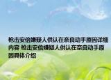 枪击安倍嫌疑人供认在奈良动手原因详细内容 枪击安倍嫌疑人供认在奈良动手原因具体介绍