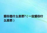爱你是什么意思?（一定爱你什么意思）
