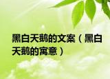 黑白天鹅的文案（黑白天鹅的寓意）