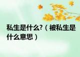 私生是什么?（被私生是什么意思）