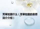 芳草如茵什么（芳草如茵的意思简介介绍）