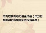 申万巴黎新动力基金净值（申万巴黎新动力股票型证券投资基金）