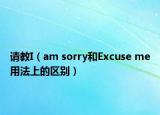 请教I（am sorry和Excuse me用法上的区别）
