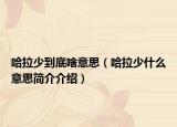 哈拉少到底啥意思（哈拉少什么意思简介介绍）