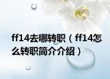 ff14去哪转职（ff14怎么转职简介介绍）
