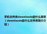 手机文件夹downloads是什么意思（downloads是什么文件夹简介介绍）