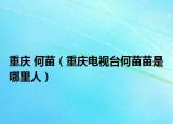 重庆 何苗（重庆电视台何苗苗是哪里人）