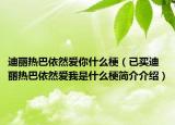 迪丽热巴依然爱你什么梗（已买迪丽热巴依然爱我是什么梗简介介绍）