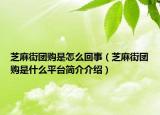 芝麻街团购是怎么回事（芝麻街团购是什么平台简介介绍）