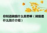你知道鸹貔什么意思嘛（鸹貔是什么简介介绍）
