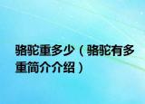骆驼重多少（骆驼有多重简介介绍）