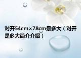 对开54cm×78cm是多大（对开是多大简介介绍）