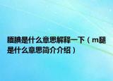 腼腆是什么意思解释一下（m腿是什么意思简介介绍）