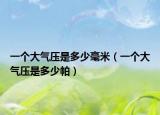 一个大气压是多少毫米（一个大气压是多少帕）