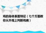 鸡的身体表面特征（七个方面教你从外观上判断鸡病）