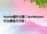 toyota是什么梗（ipotatoyou什么梗简介介绍）