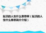 扯淡的人生什么意思啊（扯淡的人生什么意思简介介绍）