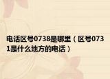 电话区号0738是哪里（区号0731是什么地方的电话）