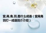 宫,商,角,羽,是什么成语（宫商角羽打一成语简介介绍）
