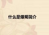 什么是爆菊简介