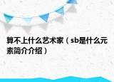 算不上什么艺术家（sb是什么元素简介介绍）