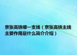 京张高铁哪一支线（京张高铁主线主要作用是什么简介介绍）