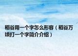 稻谷用一个字怎么形容（稻谷万顷打一个字简介介绍）