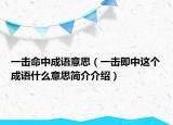 一击命中成语意思（一击即中这个成语什么意思简介介绍）