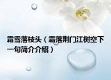 霜雪落枝头（霜落荆门江树空下一句简介介绍）