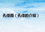 孔佳雨（孔佳的介绍）