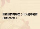 动物蛋白有哪些（什么是动物蛋白简介介绍）