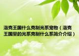 洛克王国什么克制光系宠物（洛克王国里的光系克制什么系简介介绍）