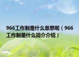 966工作制是什么意思呢（966工作制是什么简介介绍）
